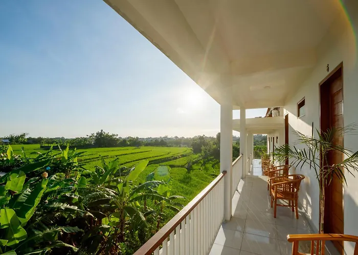 Eden * Canggu (Bali)